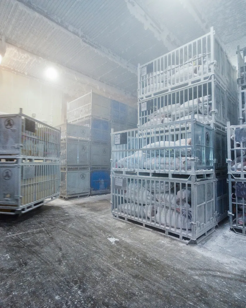 cold chain and logistics